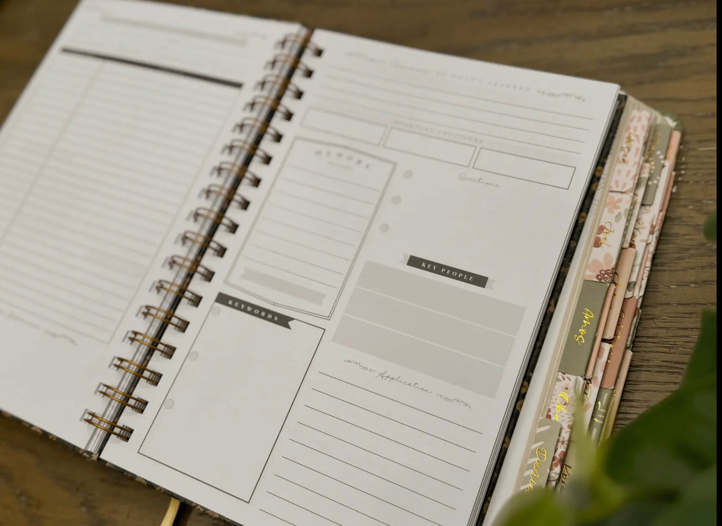 Behold Bible Study Journal