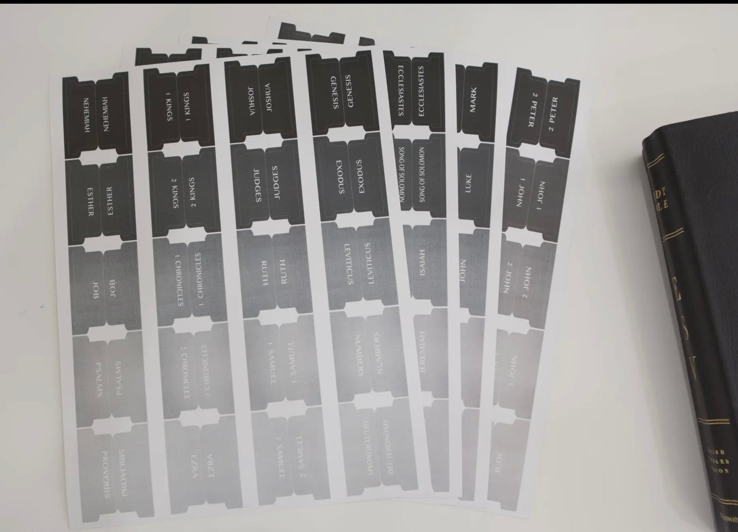 Men’s Bible Tabs